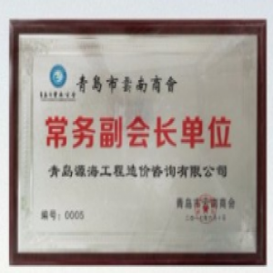 常务副会长单位