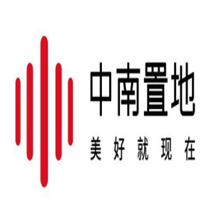 中南置地